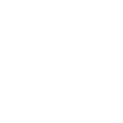 The Intellecus Academy 1